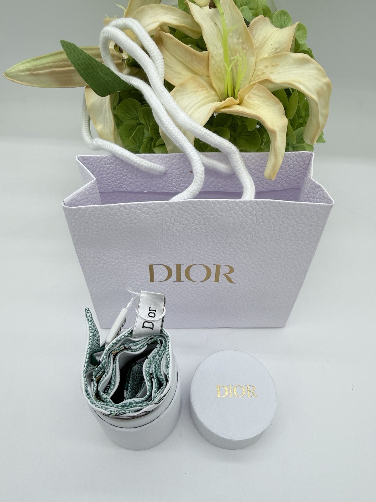 Christian Dior GWP Silk Ribbon Scarf Green Floral Butterfly Print 41.3″ Gift Box