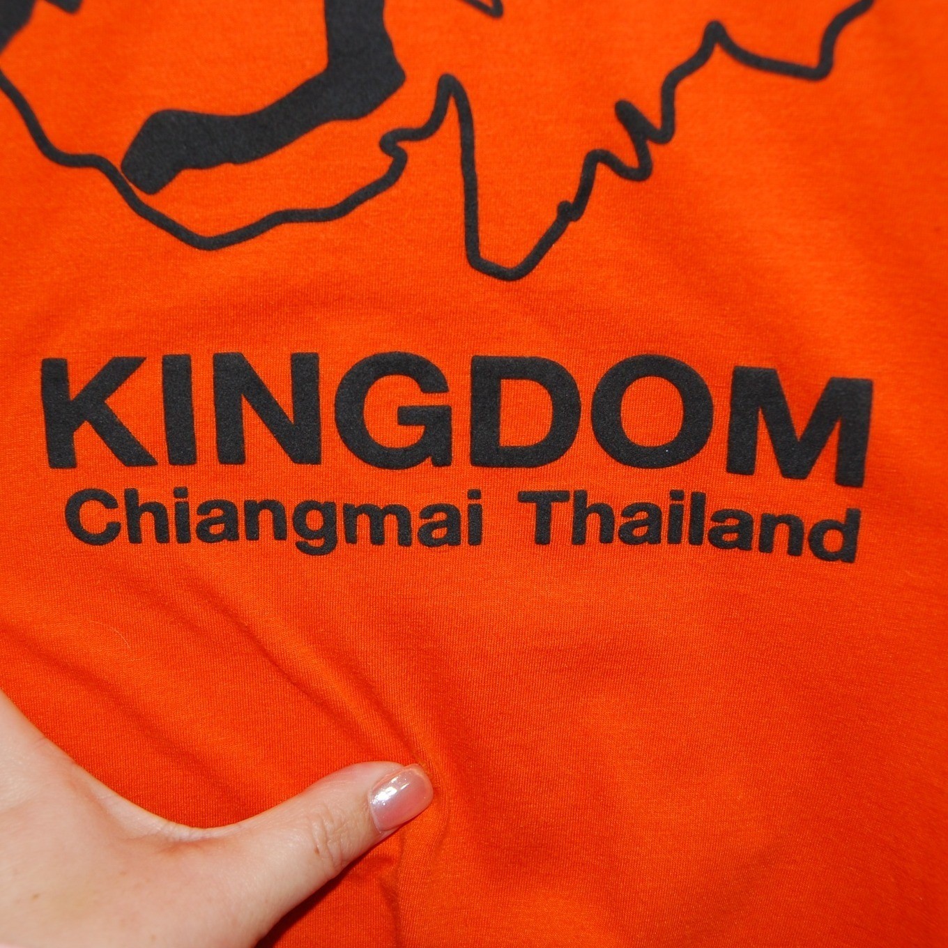 Tiger Kingdom T-shirt Men’s Size Small Thailand puffy print Graphic tee