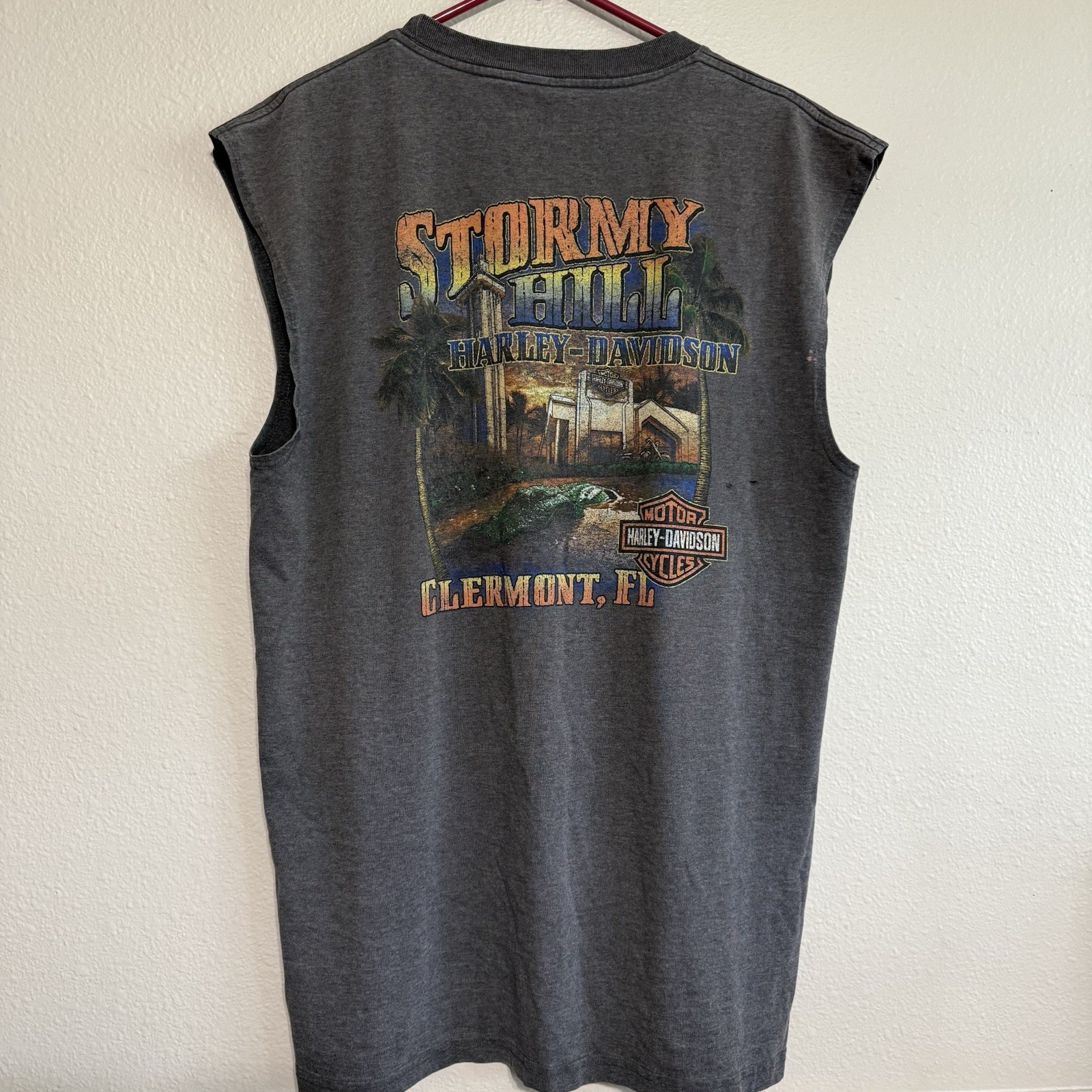 Vintage Harley Davidson 90s Biker Stormy Hill Clermont Shirt Size XL Sleeveless
