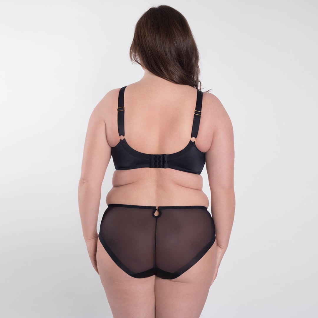 Samanta Perla Sheer Mesh Embroidered Brief Panty Womens Lingerie Black B400
