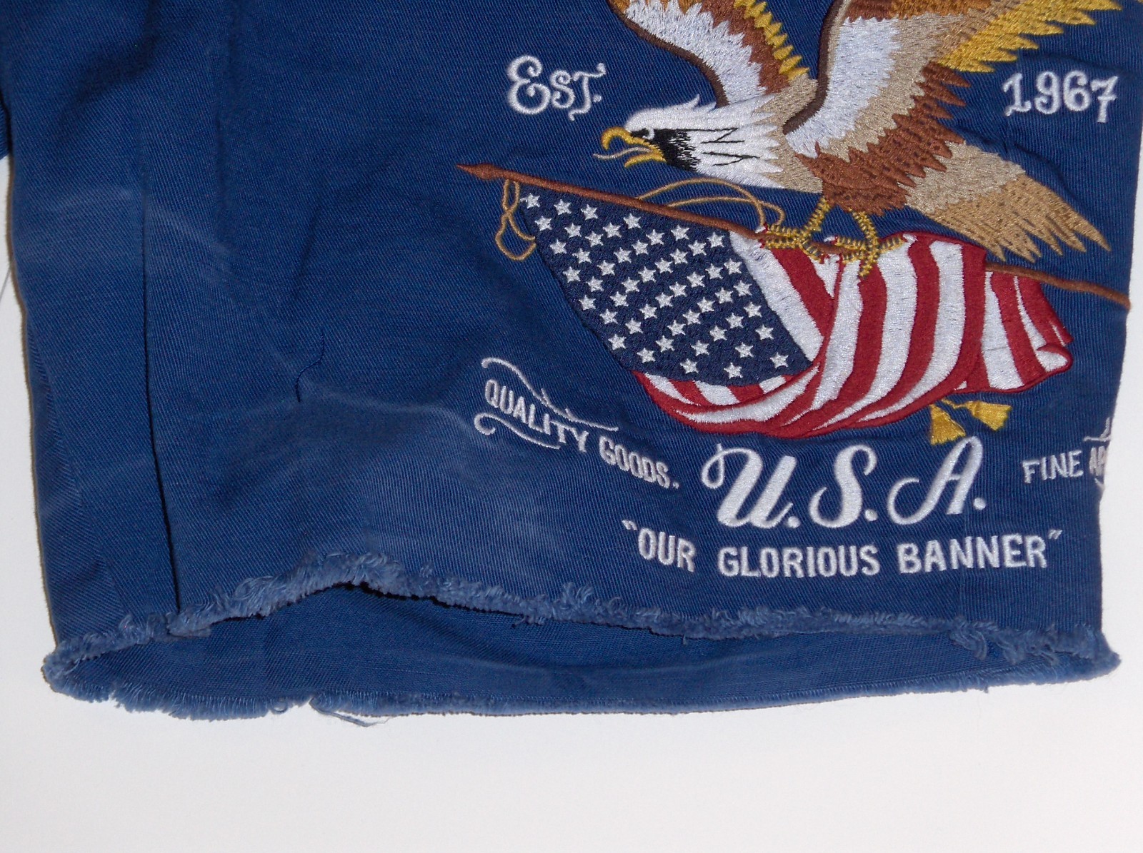 POLO RALPH LAUREN Men’s Eagle USA Flag Vintage Straight Fit Flat Front Shorts