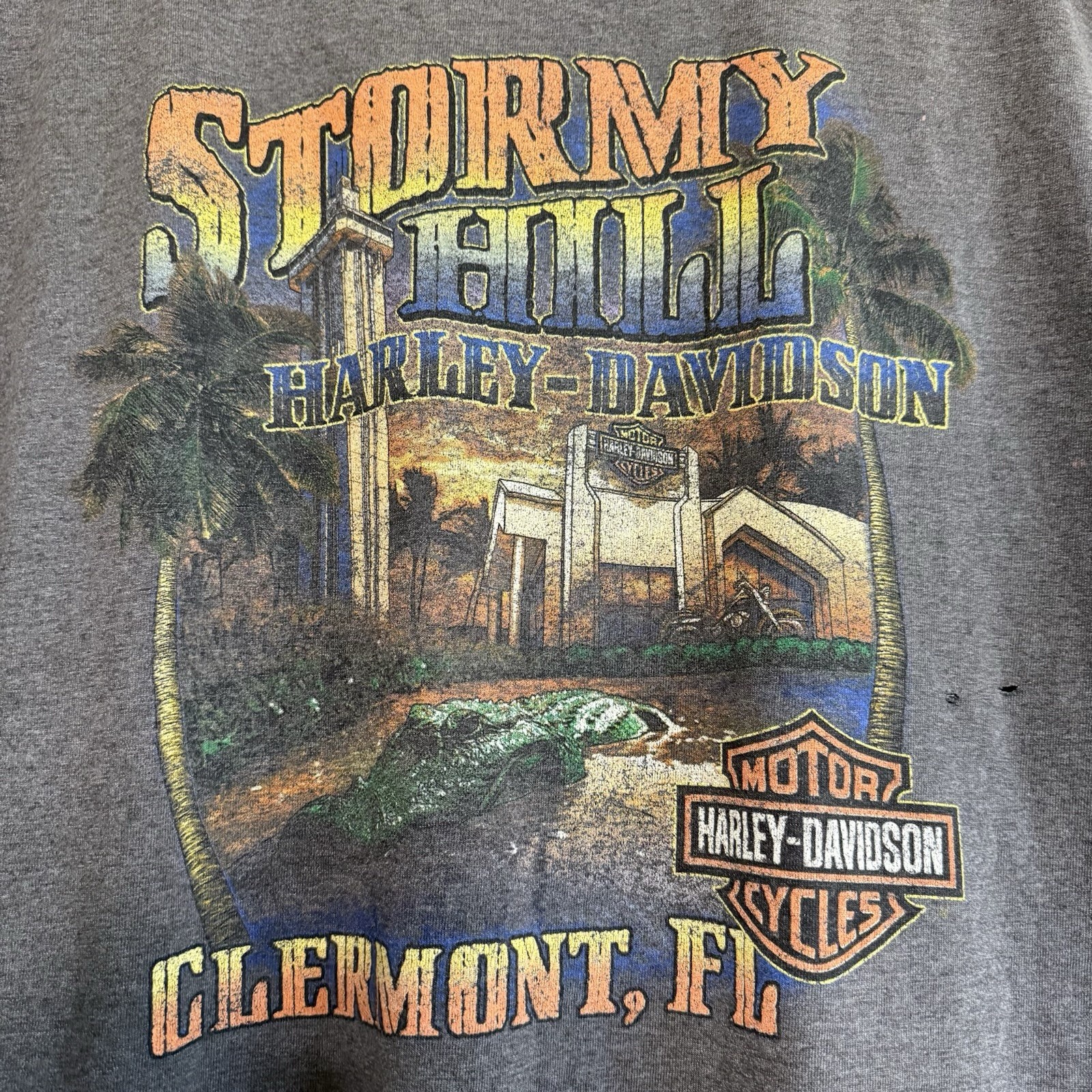Vintage Harley Davidson 90s Biker Stormy Hill Clermont Shirt Size XL Sleeveless