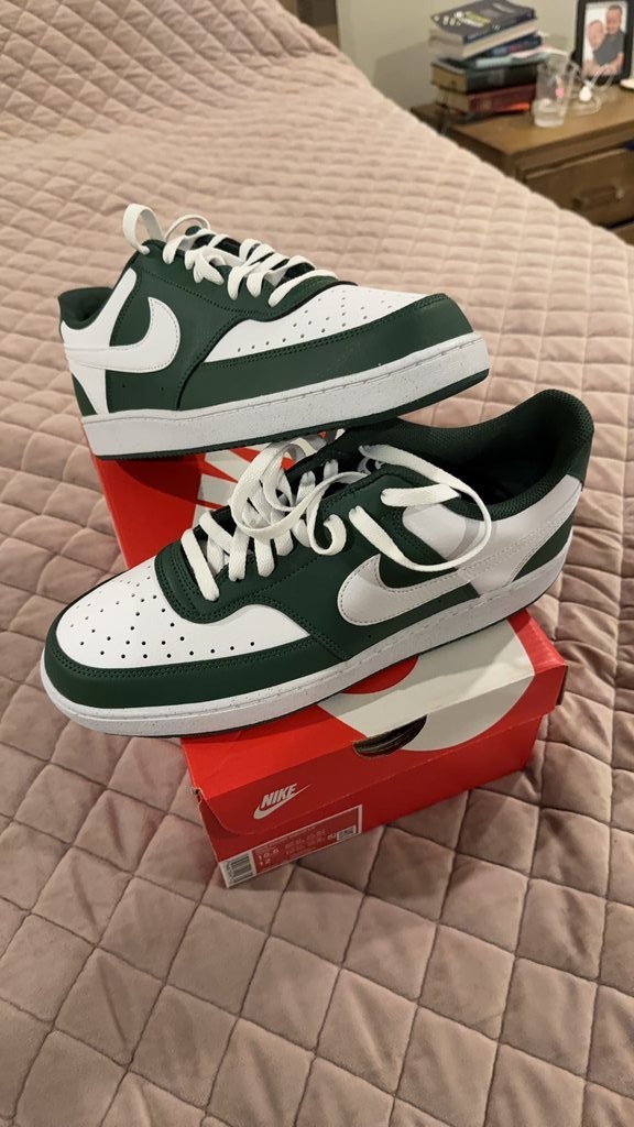 Nike Court Vision Lo Sneakers – White/Green