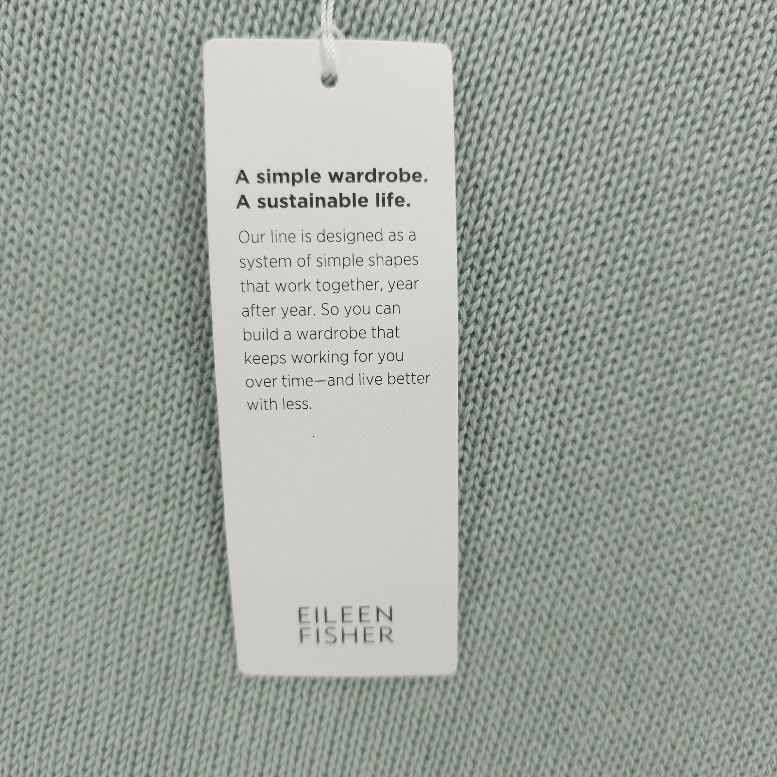 NWT EILEEN FISHER Boxy Pullover Absinthe Pale Green Rolled Hems PETITE LARGE