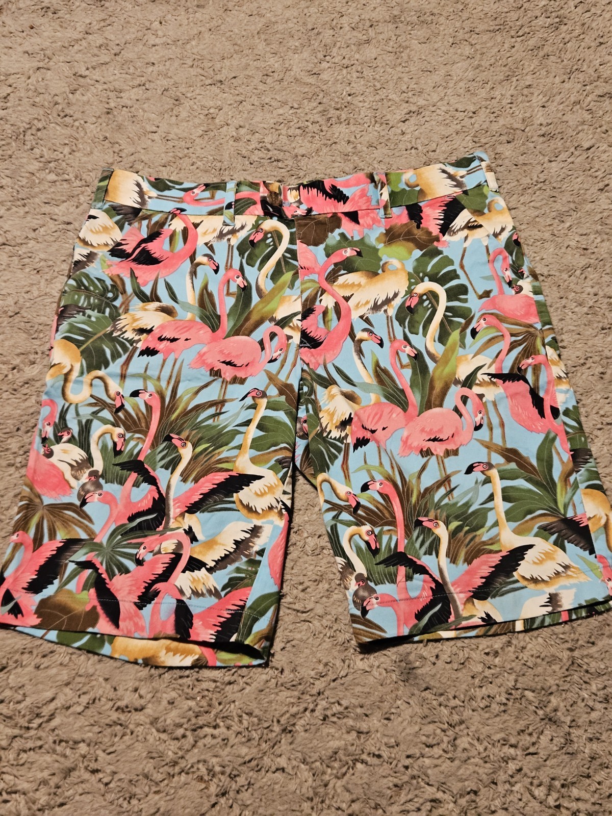 Loudmouth Men’s Tropical Flamingo AO Print Heritage Golf Shorts Size 34 EUC