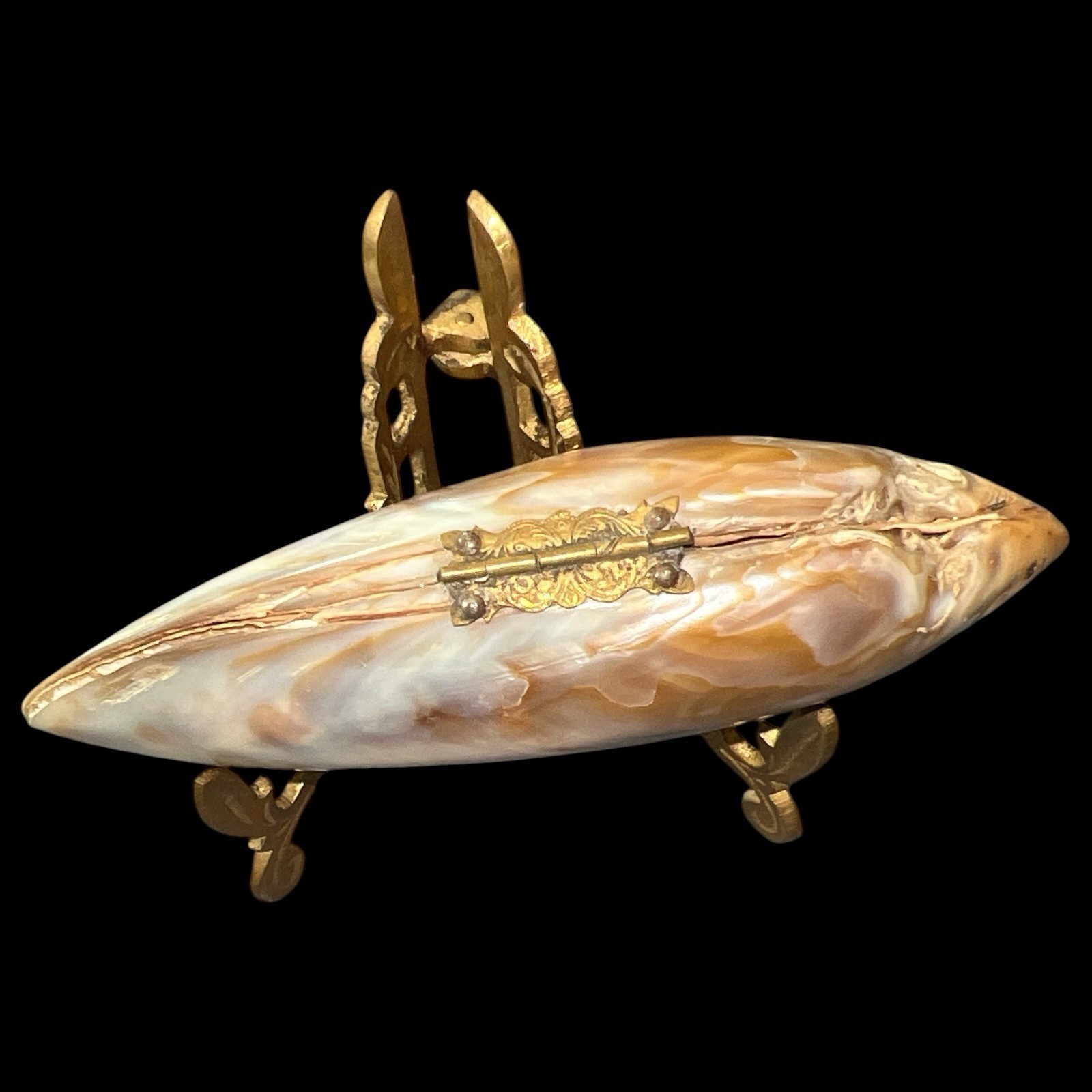 Antique Giant Clam Shell Purse Brass Frame Edwardian Victorian Vanity Handbag