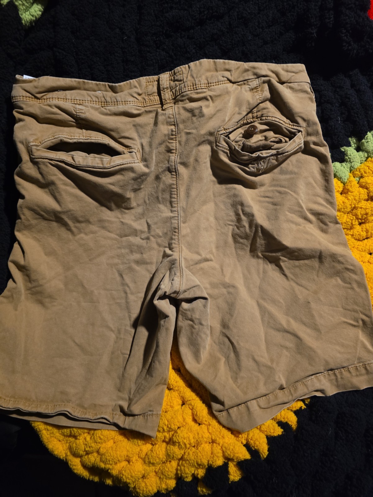 American Eagle Men’s Khaki Shorts Size 33 Casual Chino Flat Front Pre-Owned