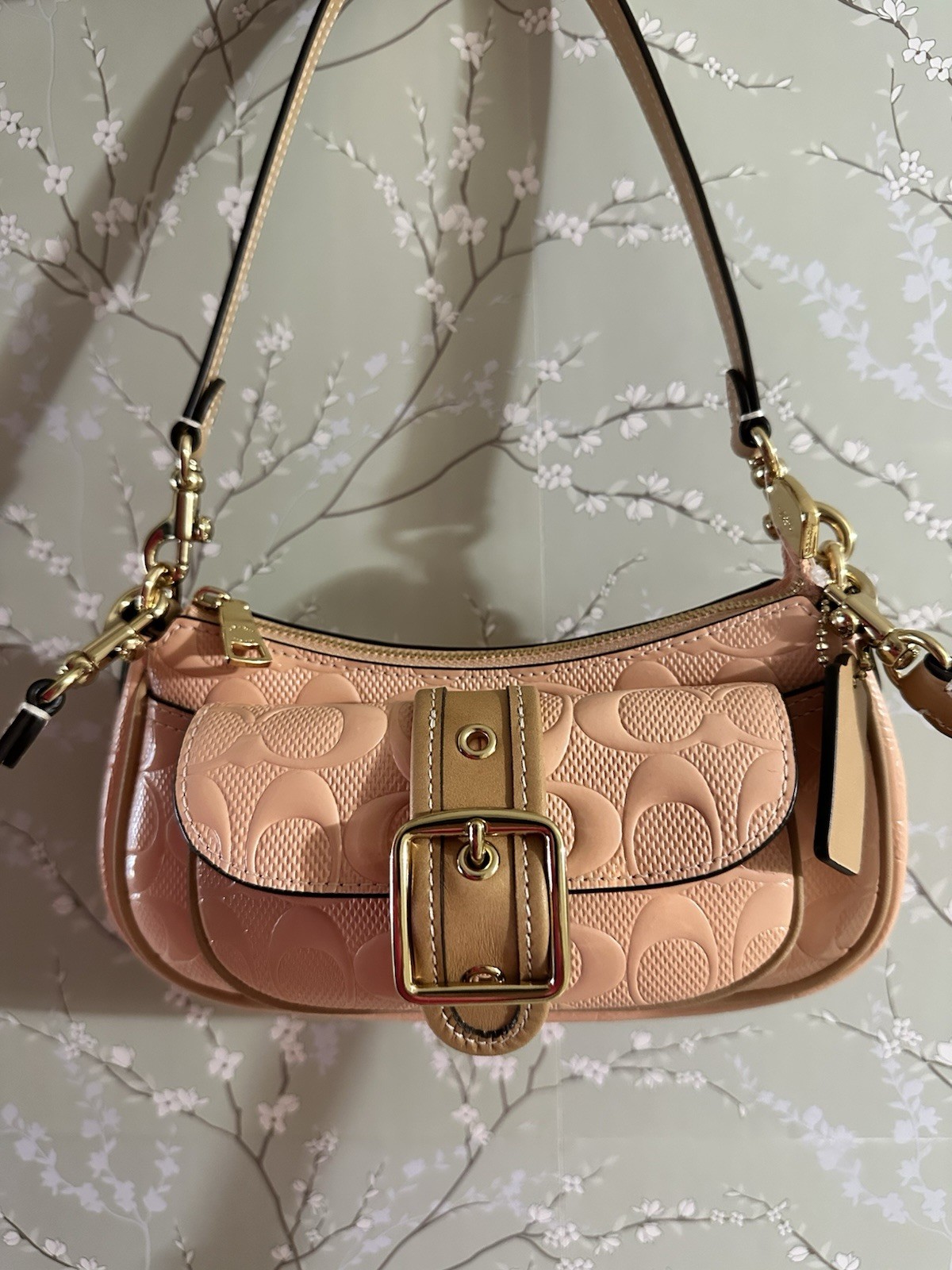 NWT Coach Ashton Mini Shoulder Bag In Signature Leather Faded Blush/Gold CEN11