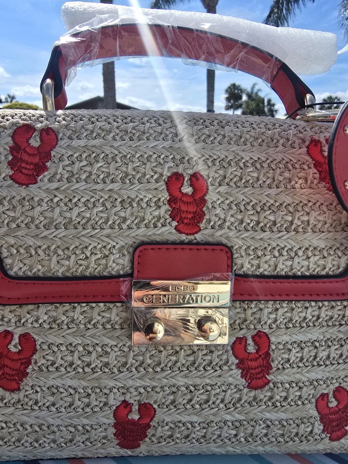 Lobster Crossbody Bag lobster charm detachable strap BCBGENERATION NEW