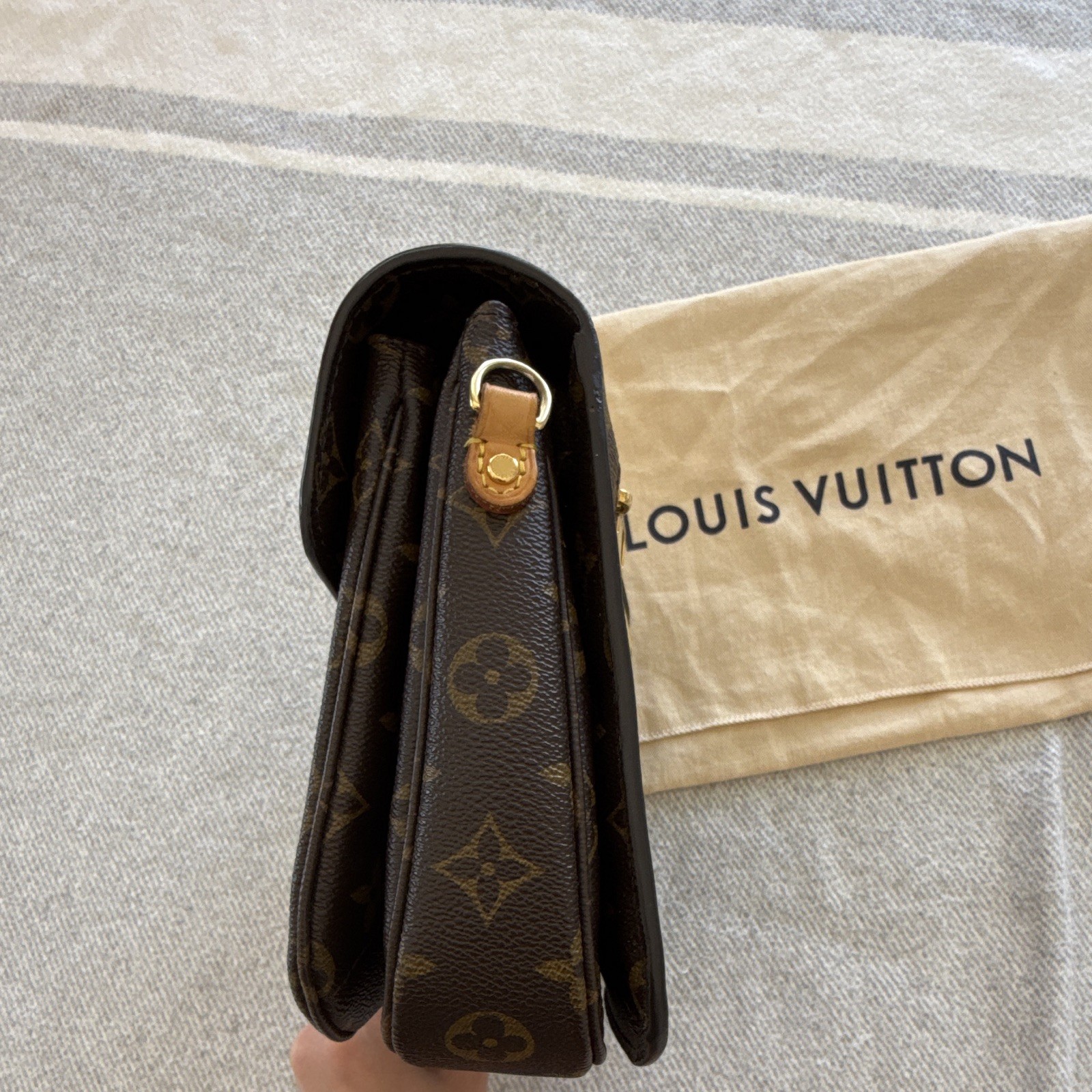 Louis Vuitton Monogram Pochette Metis Crossbody, Strap & Dust Bag