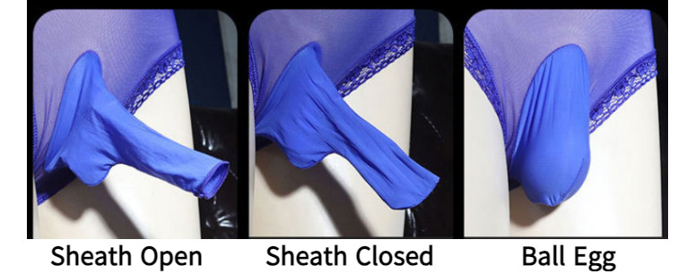 Sissy Briefs Breathable Middle Waist Panties Men Mesh Transparent Underwear