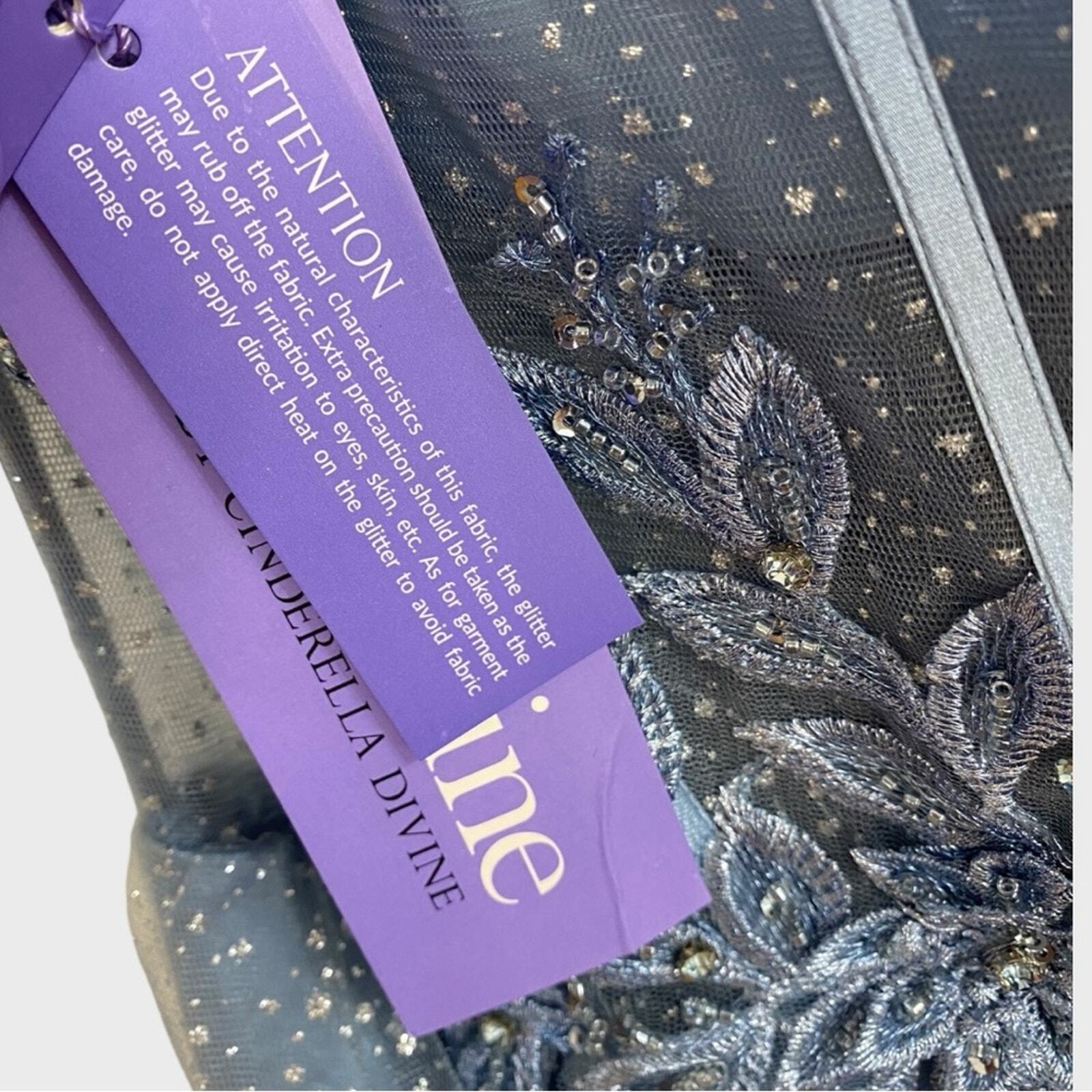 Ladivine by Cinderella Divine Smoky Blue Sheer Bodice Floral A-line Dress NWT 3X