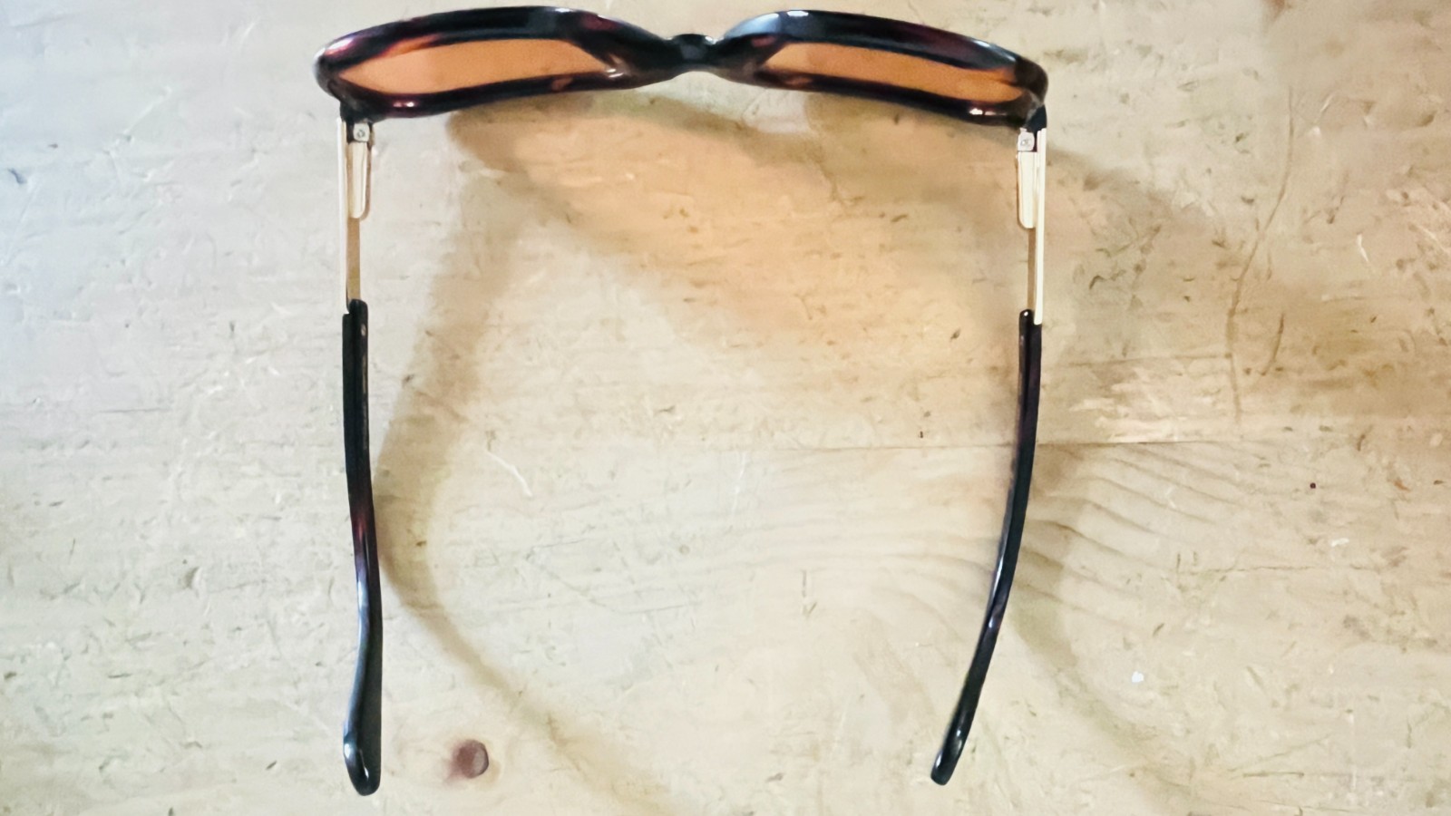 Selima Optique Maestro Sunglasses in Dark Tortoise with Orange Lenses with Case