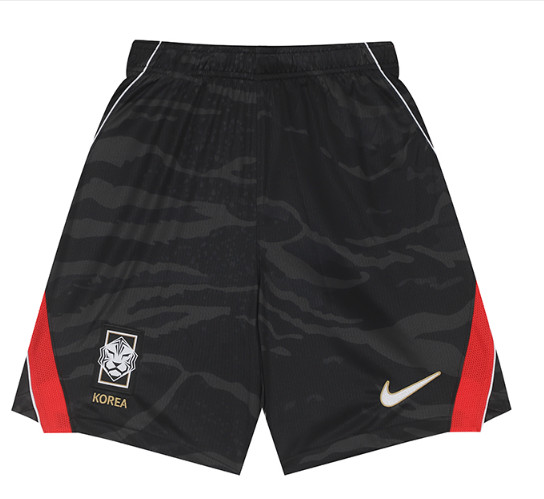 Nike Korea 2026 World Cup Home Men’s Soccer Football Shorts NWT IB5419-010