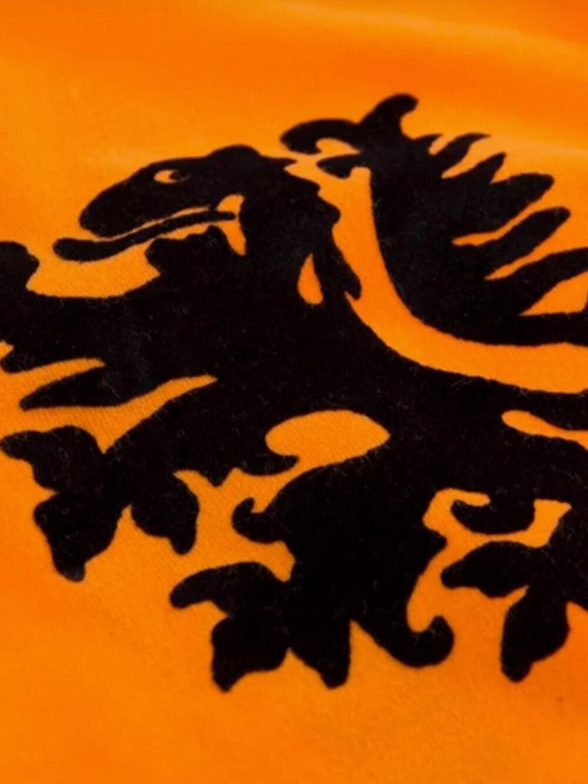 COPA Holland Captain T-Shirt KNVB Sz S