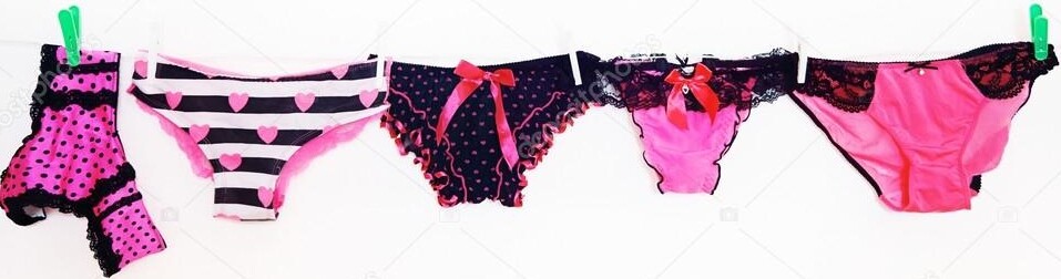 Panties Lingerie Shiny Semi Sheer Pink Bikini, Size 10 3X