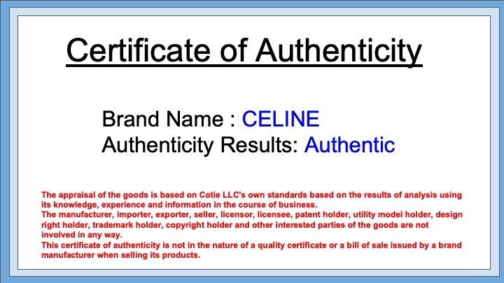 CELINE Macadam PVC Leather Cosmetic Pouch Vanity Brown Gold Auth