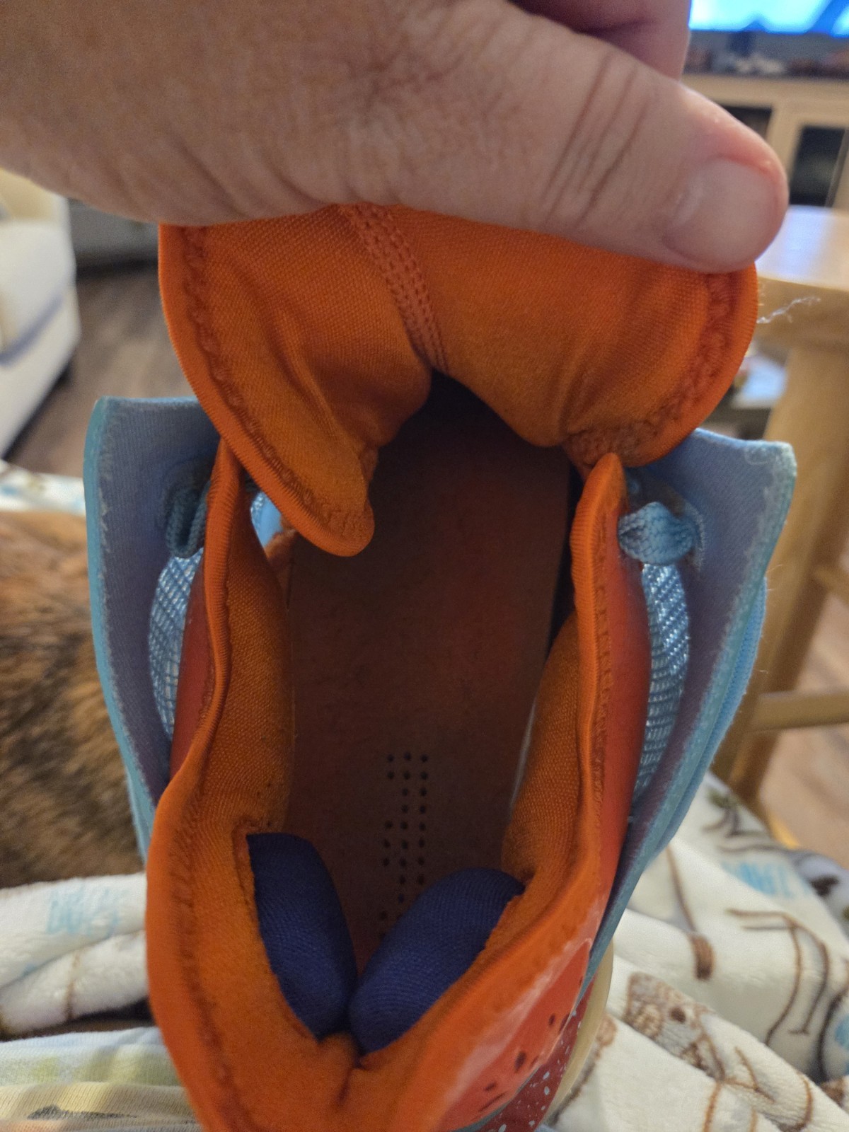Size 10.5 – Nike LeBron 19 EP Low Blue Chill. Please READ Descrip!!