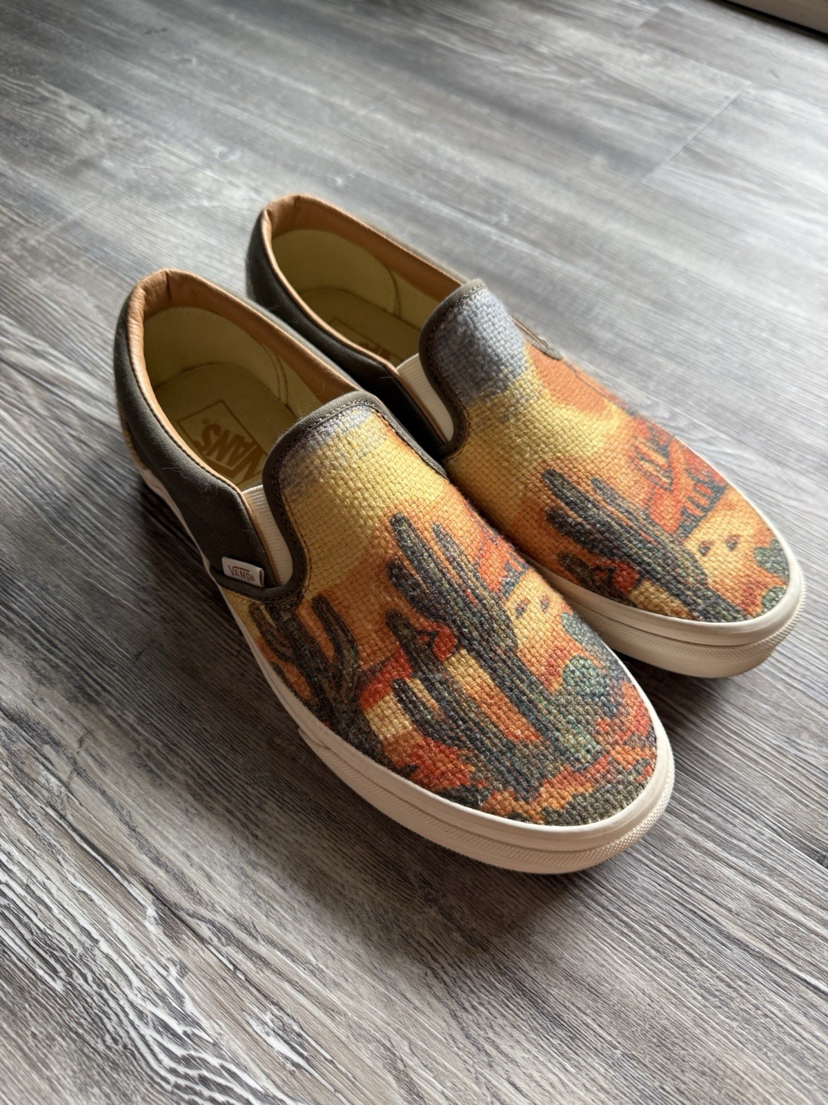 Vans Cactus Desert Tapestry Slip On Shoes Men’s Size 11