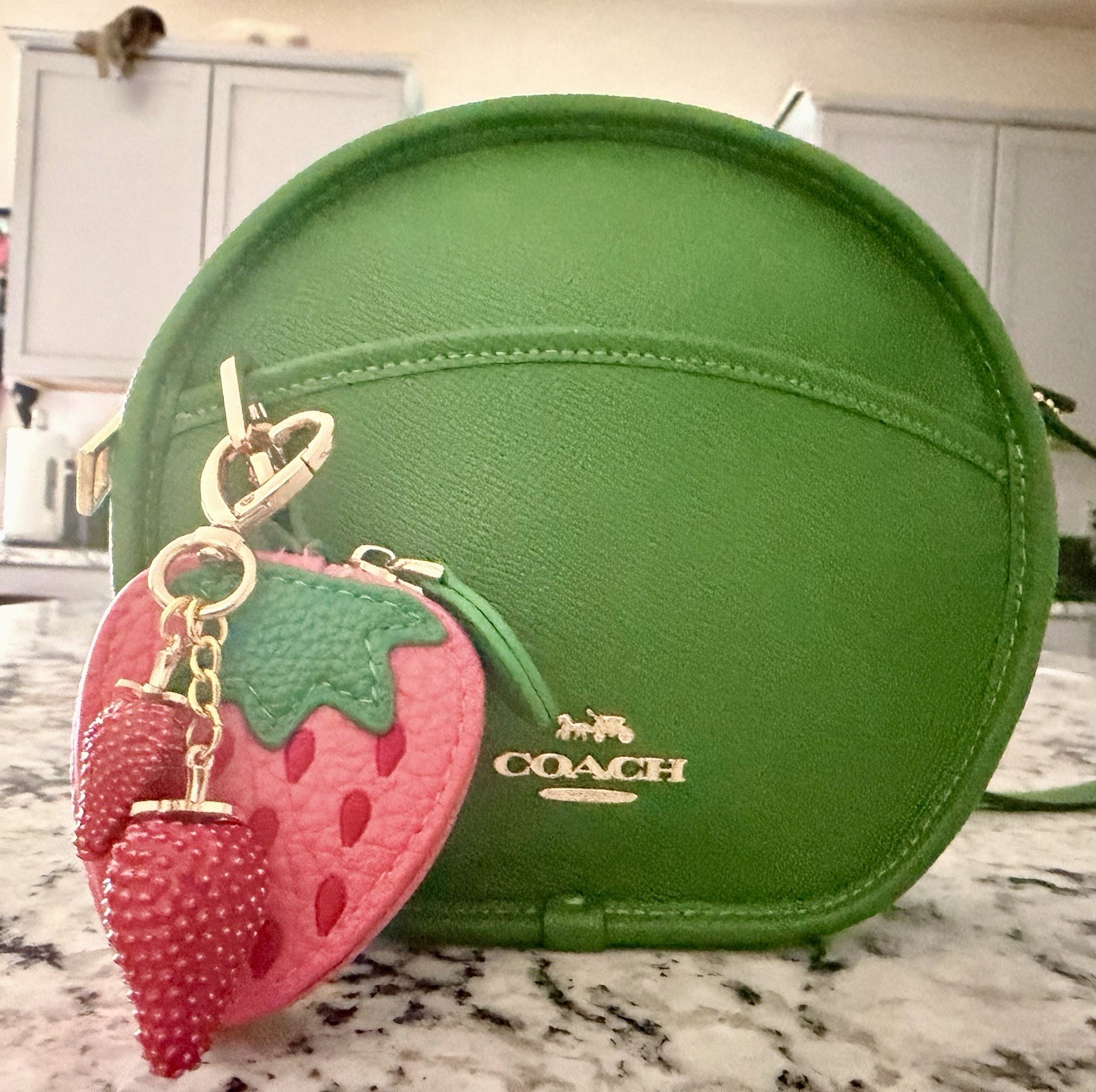 Coach Canteen Crossbody Bag Pebble Leather Gold/Kelly Green NWOT 75516