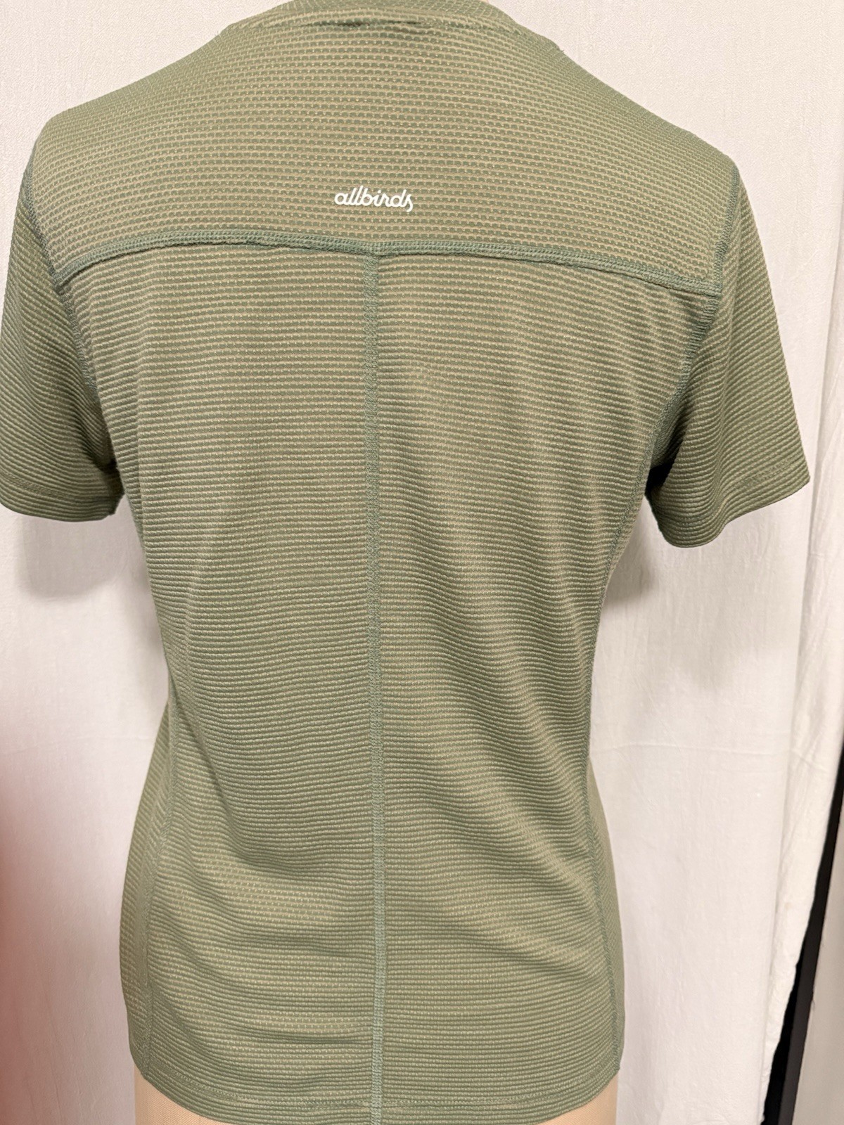 Allbirds Natural Run Tee T-Shirt L Green Striped SS Crew Lightweight Logo
