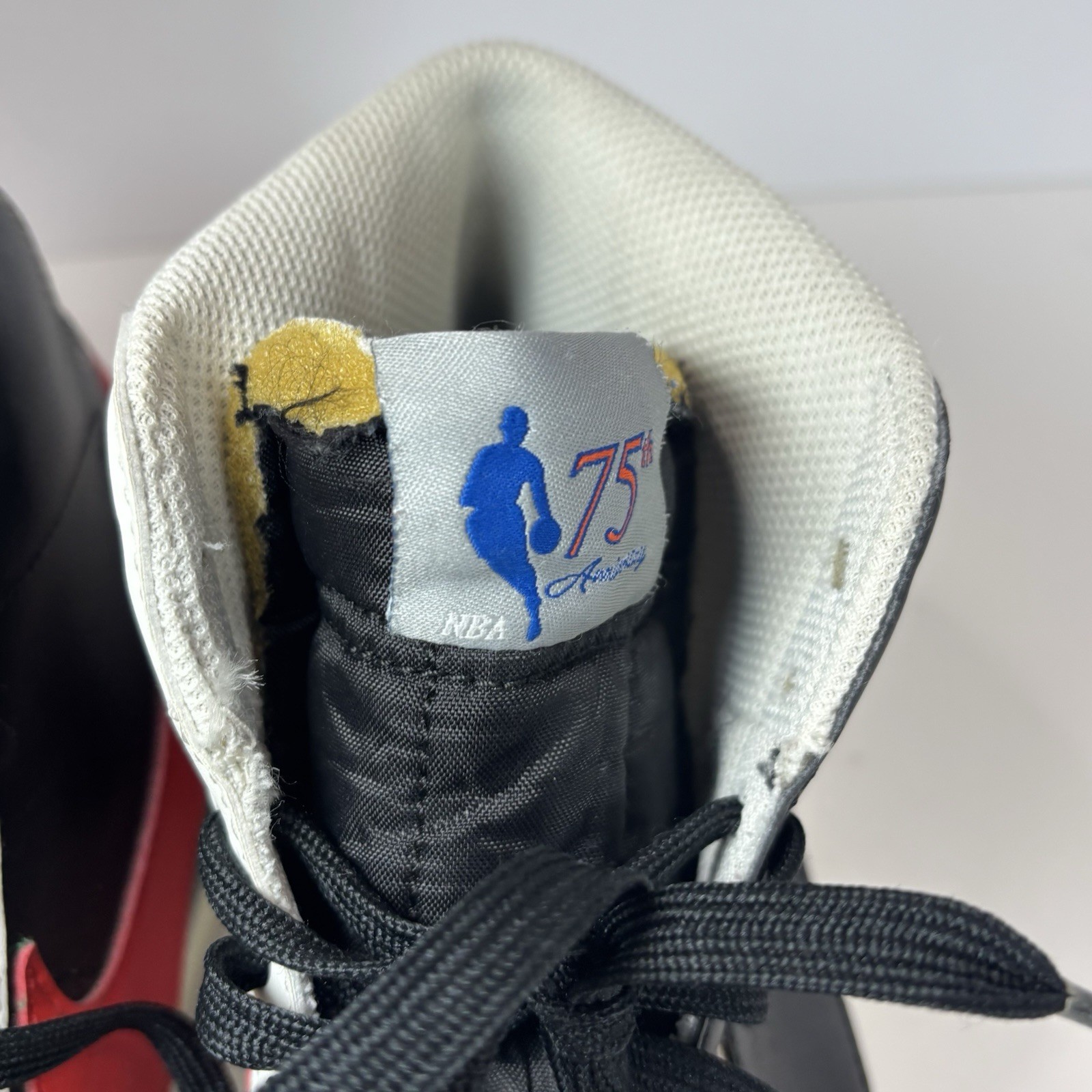 Nike NBA x Blazer ’77 EMB Mid 75th Anniversary-Trail Blazers Shoes Men Sz 9
