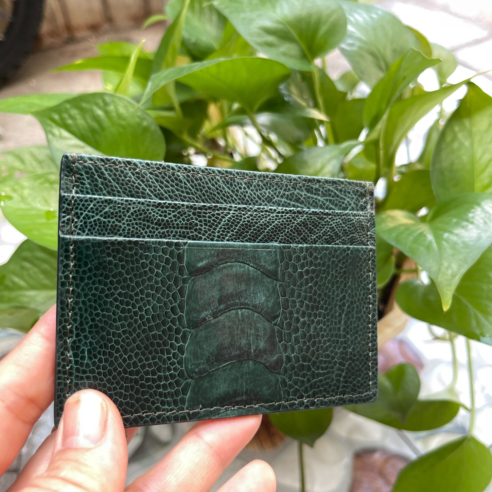 GreenGENUINE OSTRICH LEATHER SKIN CREDIT CARD HOLDER/ WALLET CARD HOLDER FOR MEN