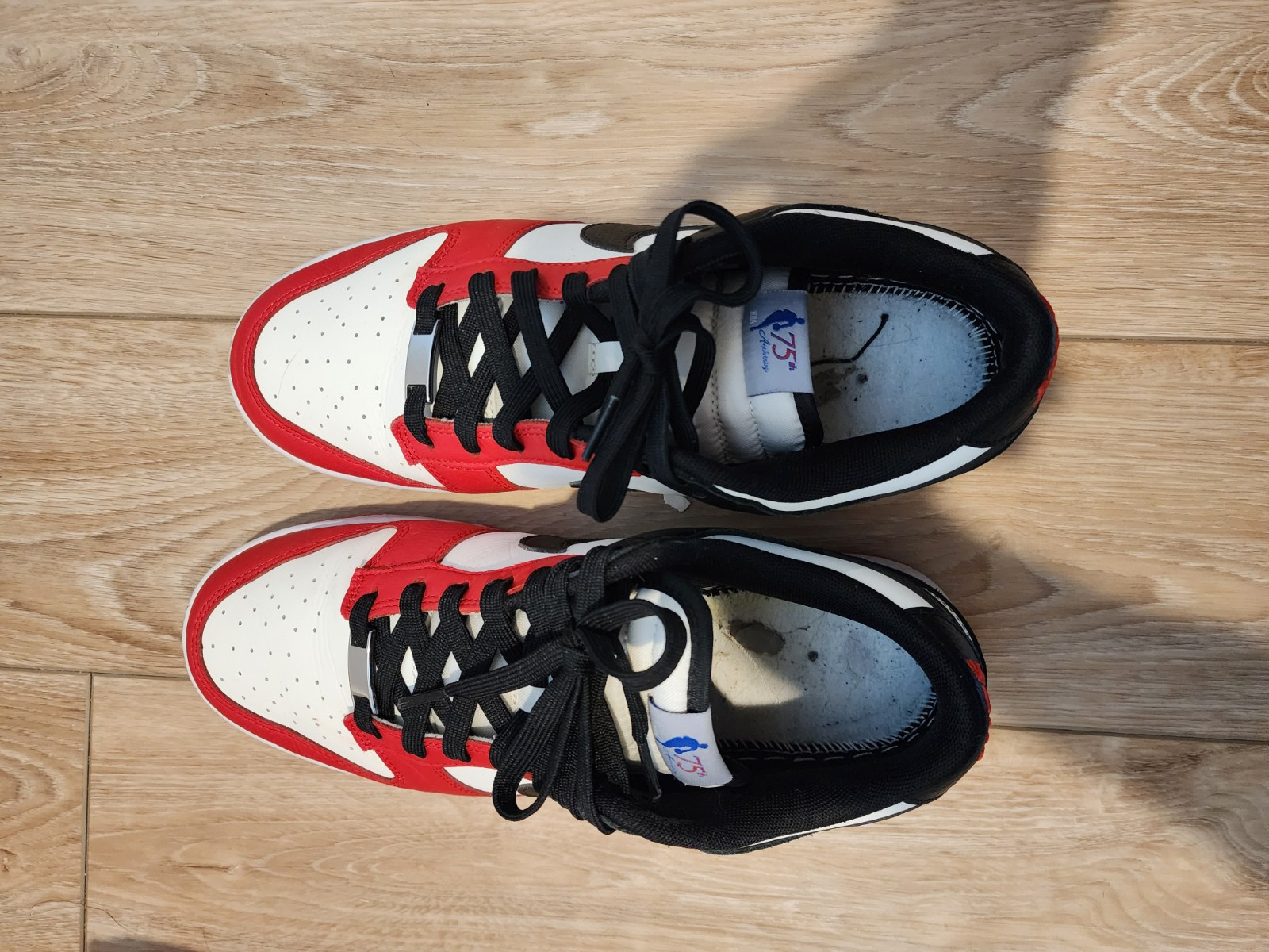 NBA 30th Anniversary Chicago Dunks Size 10