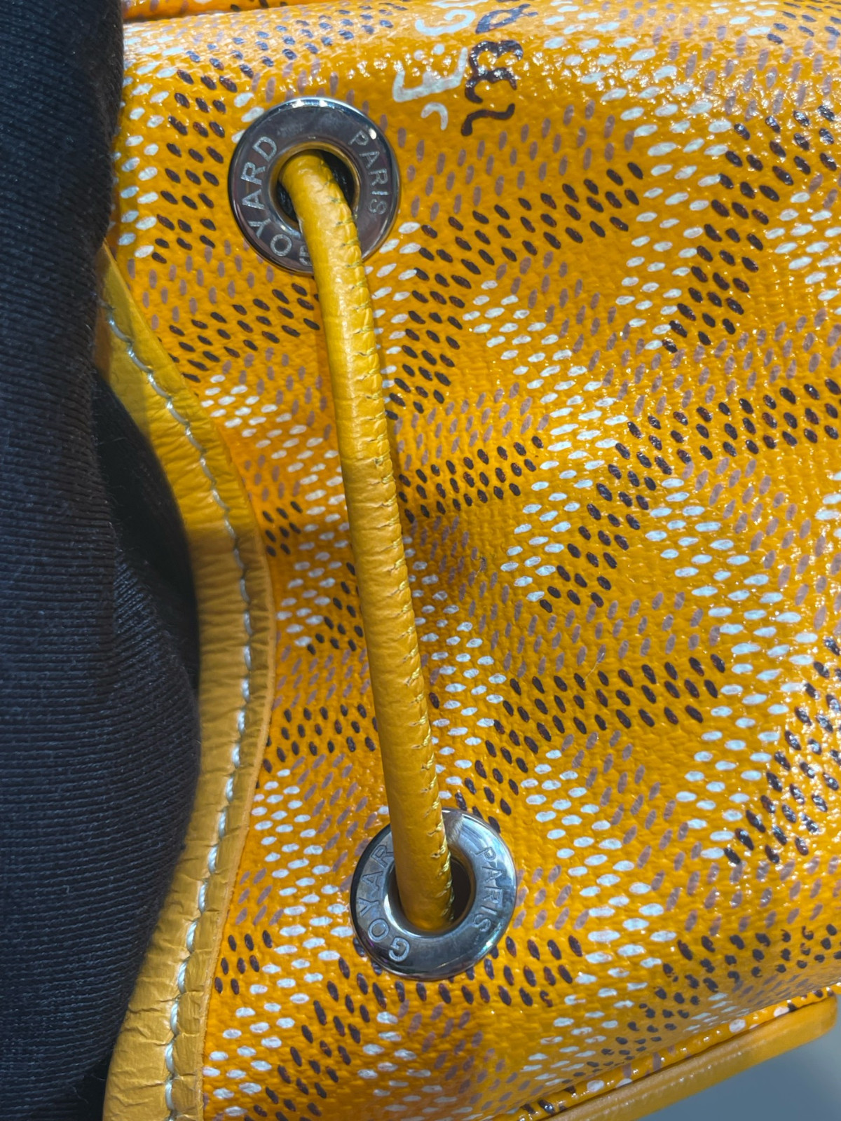 Goyard Alpin Mini Canvas Backpack（ 23×9.5×19 ）cm