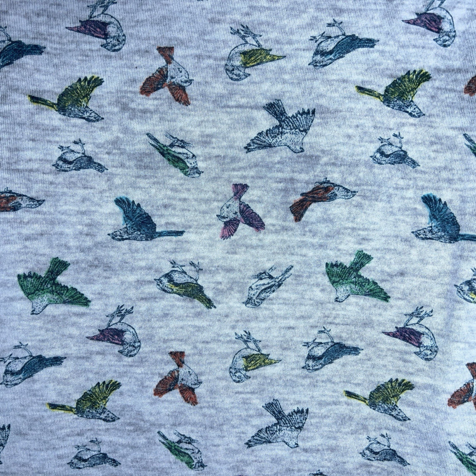 Medium Juniors Mudd Blue Colorful Bird Print Vneck Tee Tshirt Lightweight