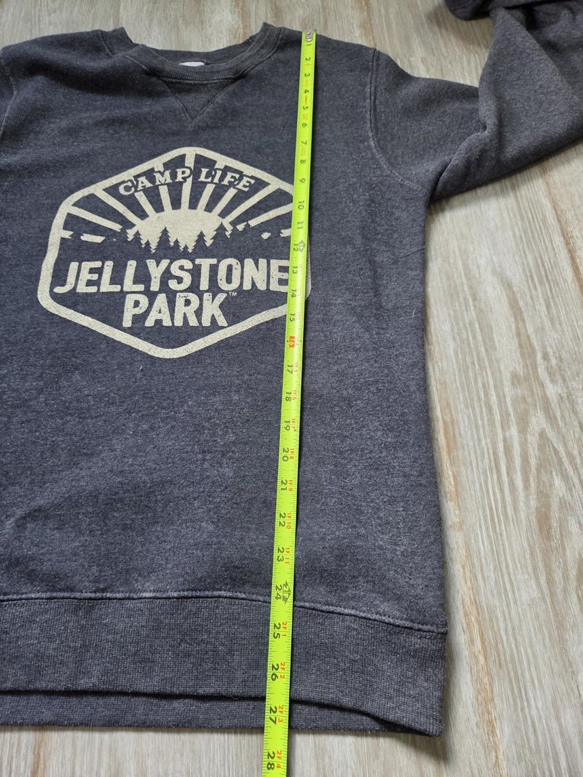 Yogi Bear Jellystone Park Camp Life Graphic Sweatshirt Gray Fleece Women’s M GUC
