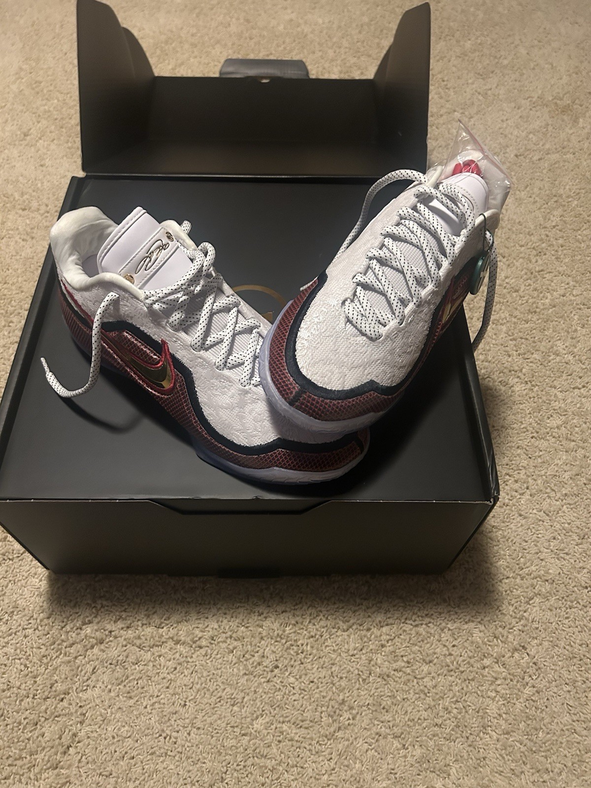 Nike LeBron 23 Grand Opening Men’s Size 12