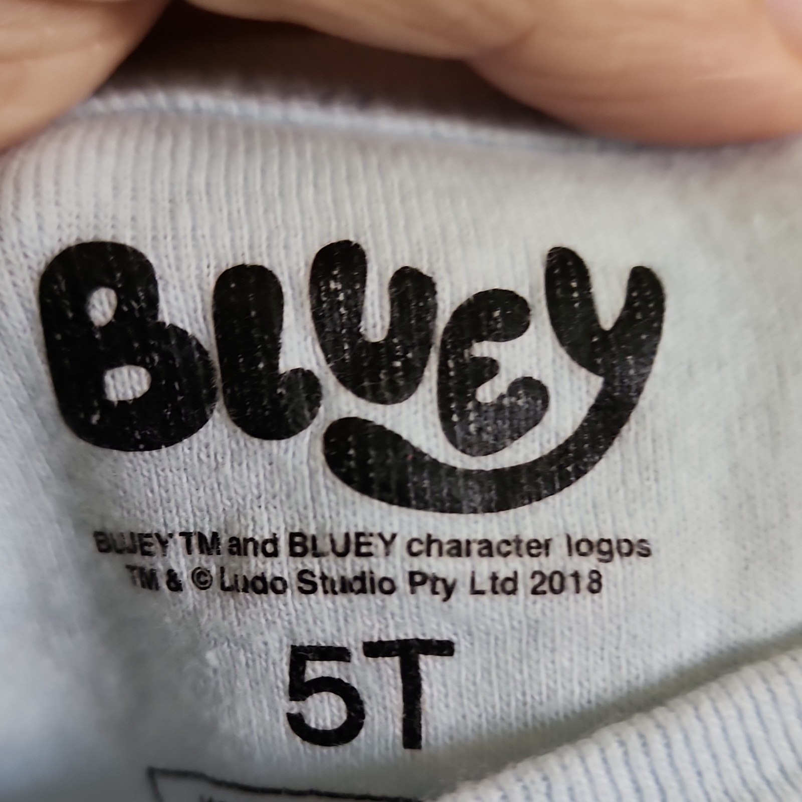 Bluey Unisex 5T 2-Piece Snug Fit Pajama Set 100% Cotton Long Sleeve