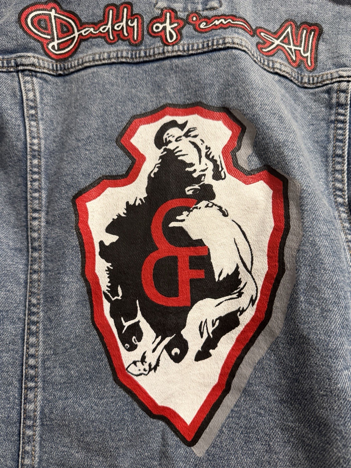 Amazing HAND PAINTED Cheyenne Frontier Days Denim Jean Jacket Women’s M Western