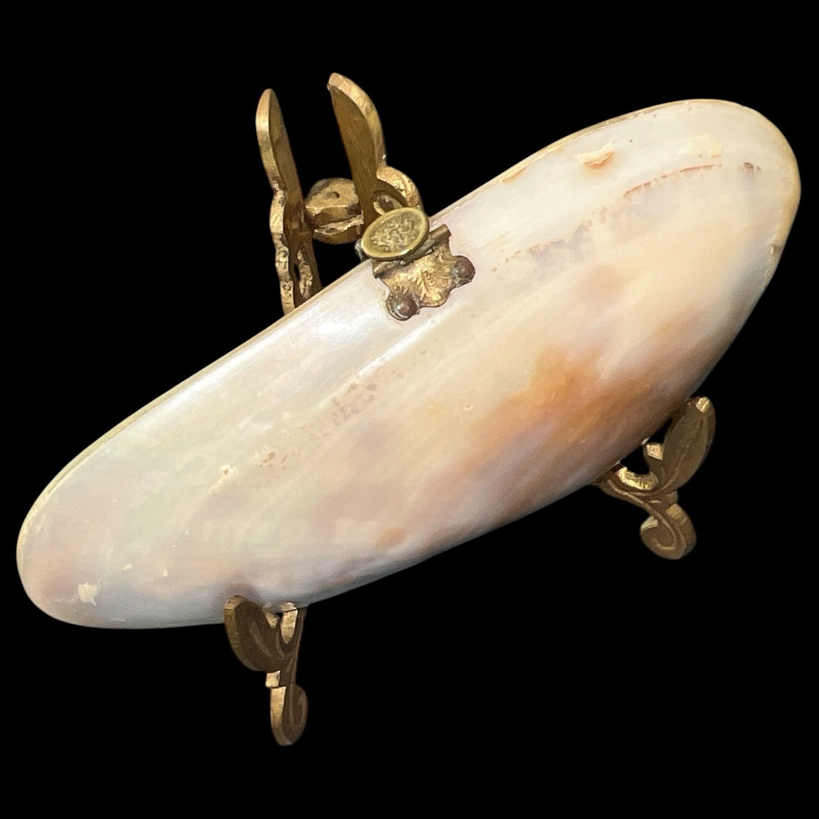 Antique Giant Clam Shell Purse Brass Frame Edwardian Victorian Vanity Handbag