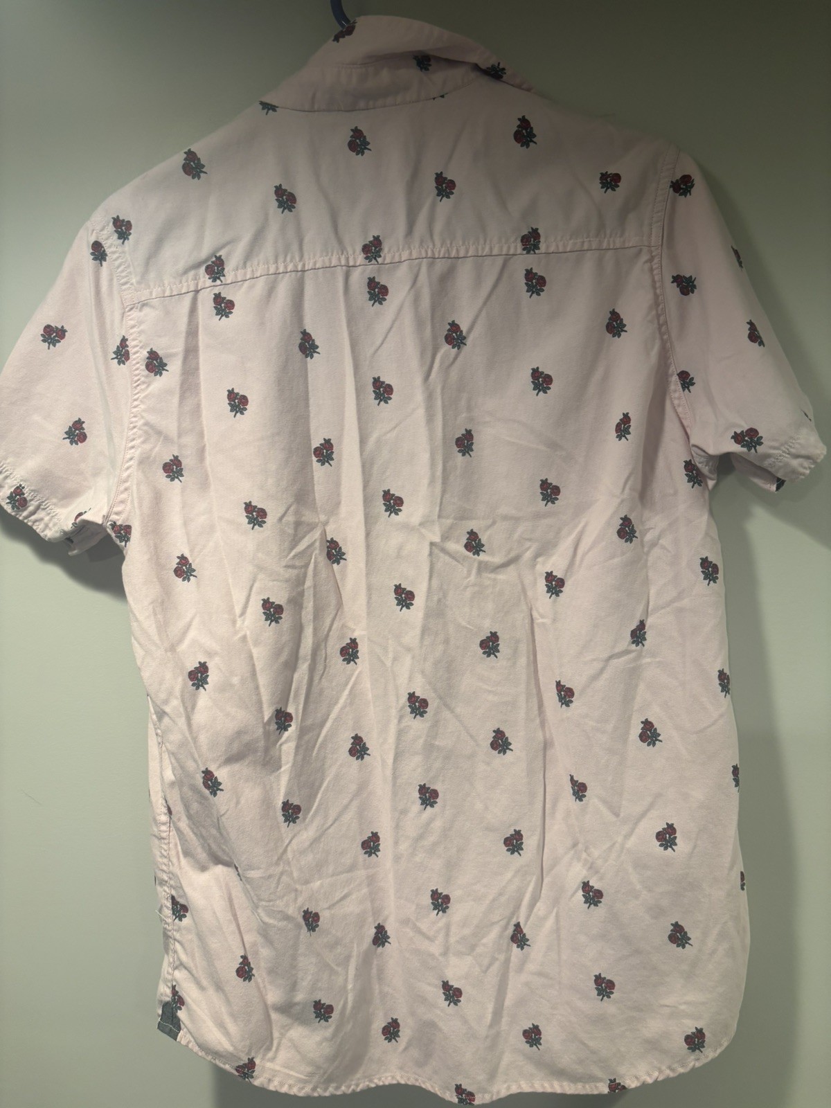 FREE PLANET Pink Roses Button Up Shirt Men size Medium floral
