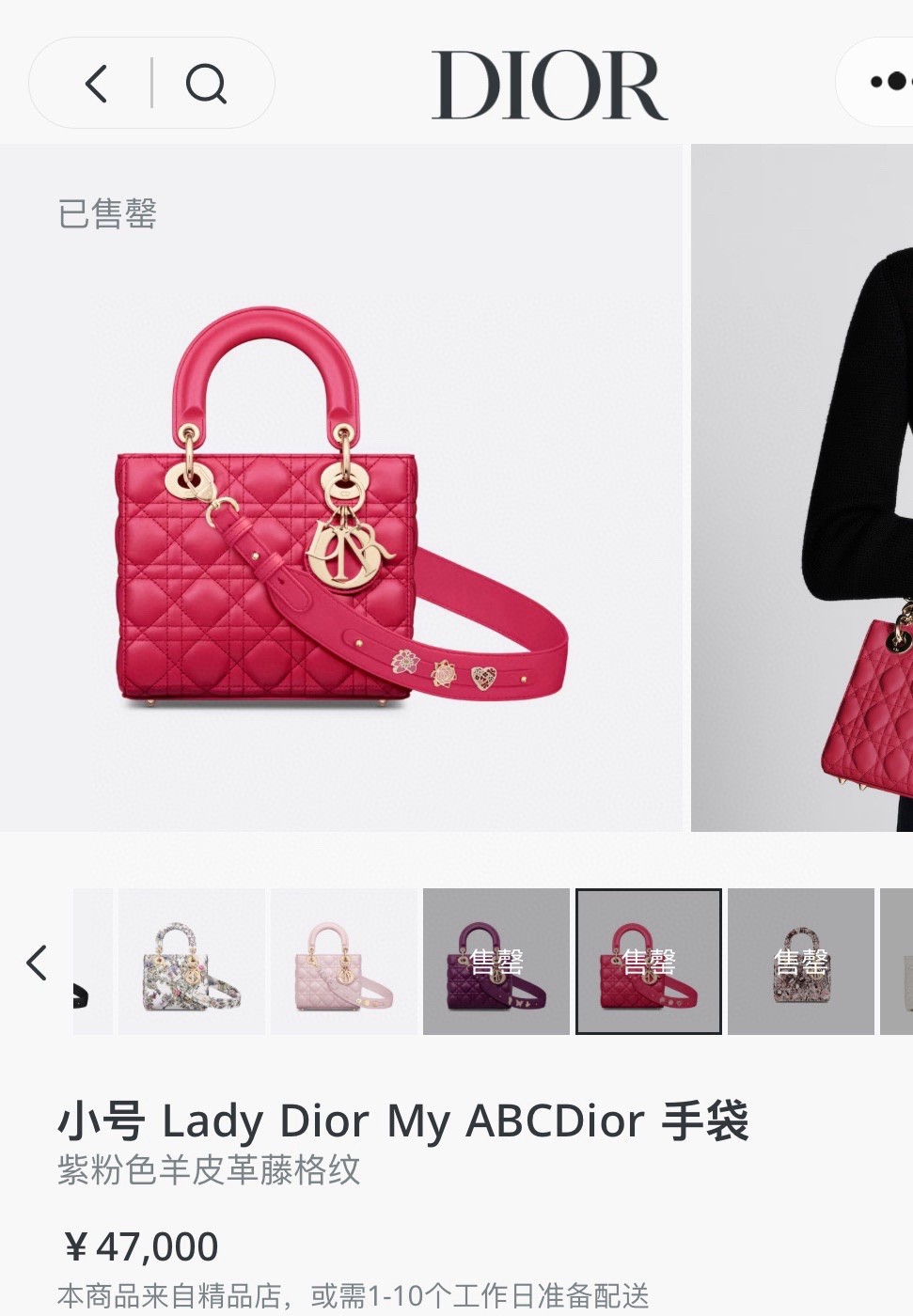 Dior Pre-Owned Authentic Lady Dior Top Handle 20*17*88 Free Tracked Shipping