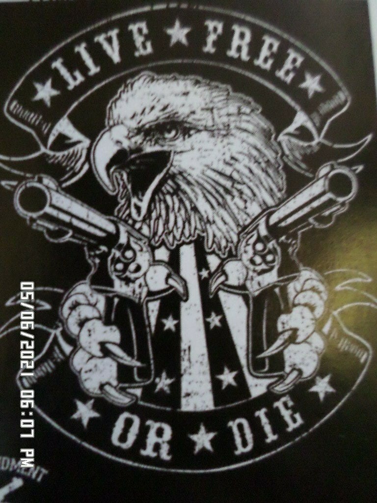 NEW Patriotic T-Shirt: Live Free Or Die / Eagle w/ 2 Guns