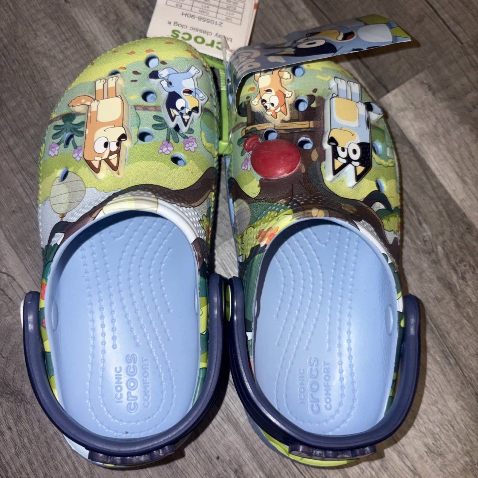 Bluey Classic Clog C11