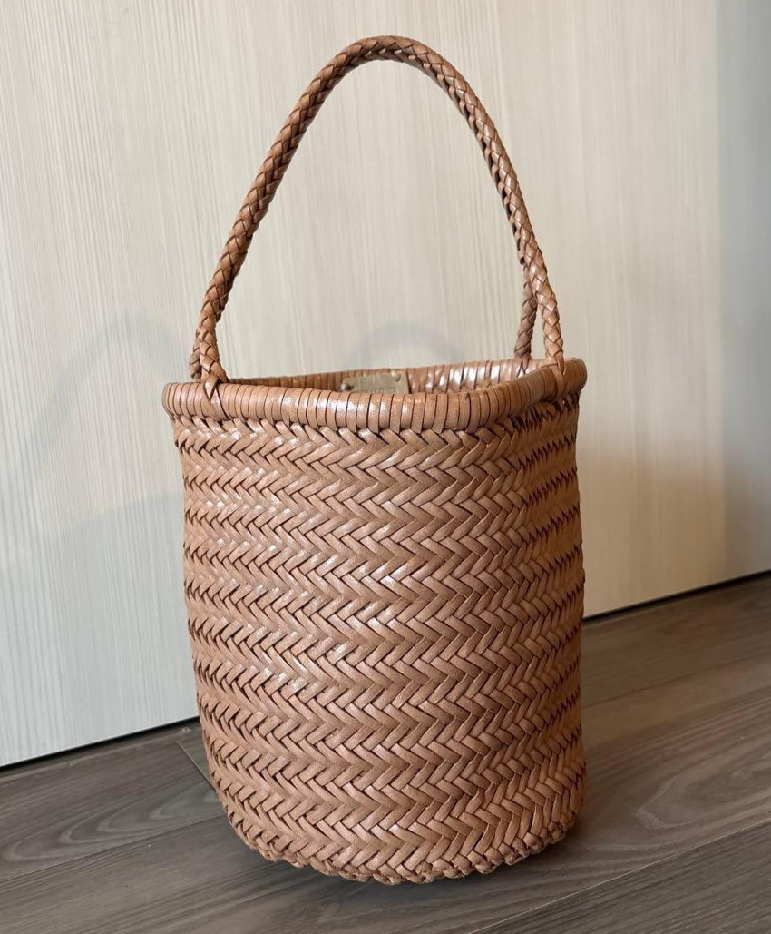 Dragon Diffusion Leather Mesh Totebag Handbag Brown Camel Near MINT
