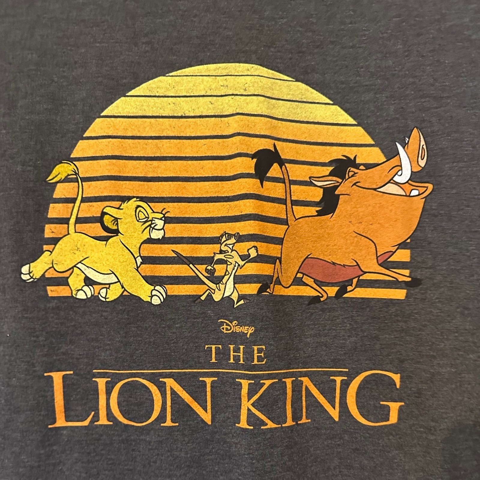 Unisex Disney The Lion King Simba Timon Pumbaa Graphic T-Shirt Charcoal Medium