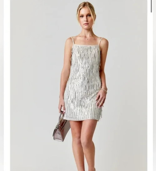Blue Rain Francesca’s Angelina Size Medium Champagne Sequin Fringe Mini Dress