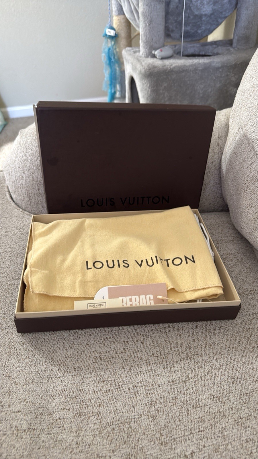 Louis Vuitton Damier Ebene Favorite MM Crossbody Chain Strap Brown Gold Box