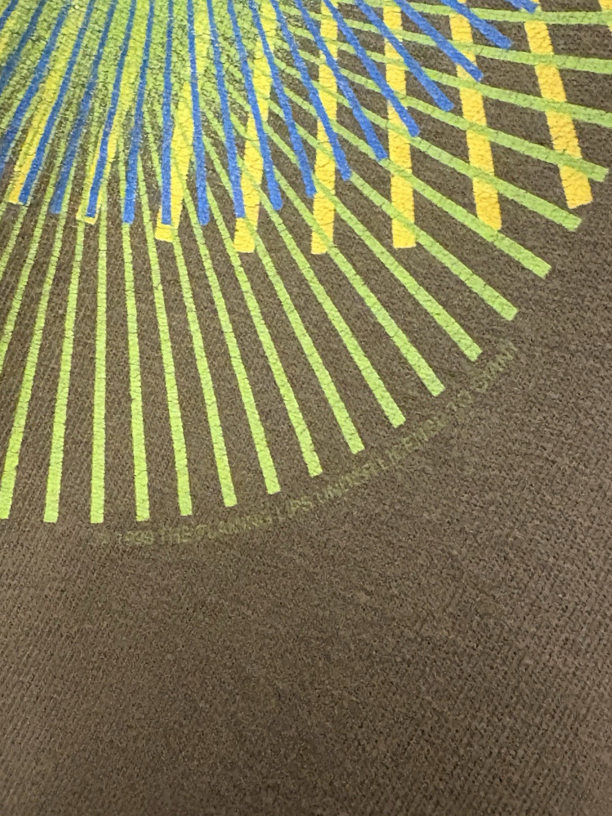 VTG The Flaming Lips 1999 Grail Band Tee