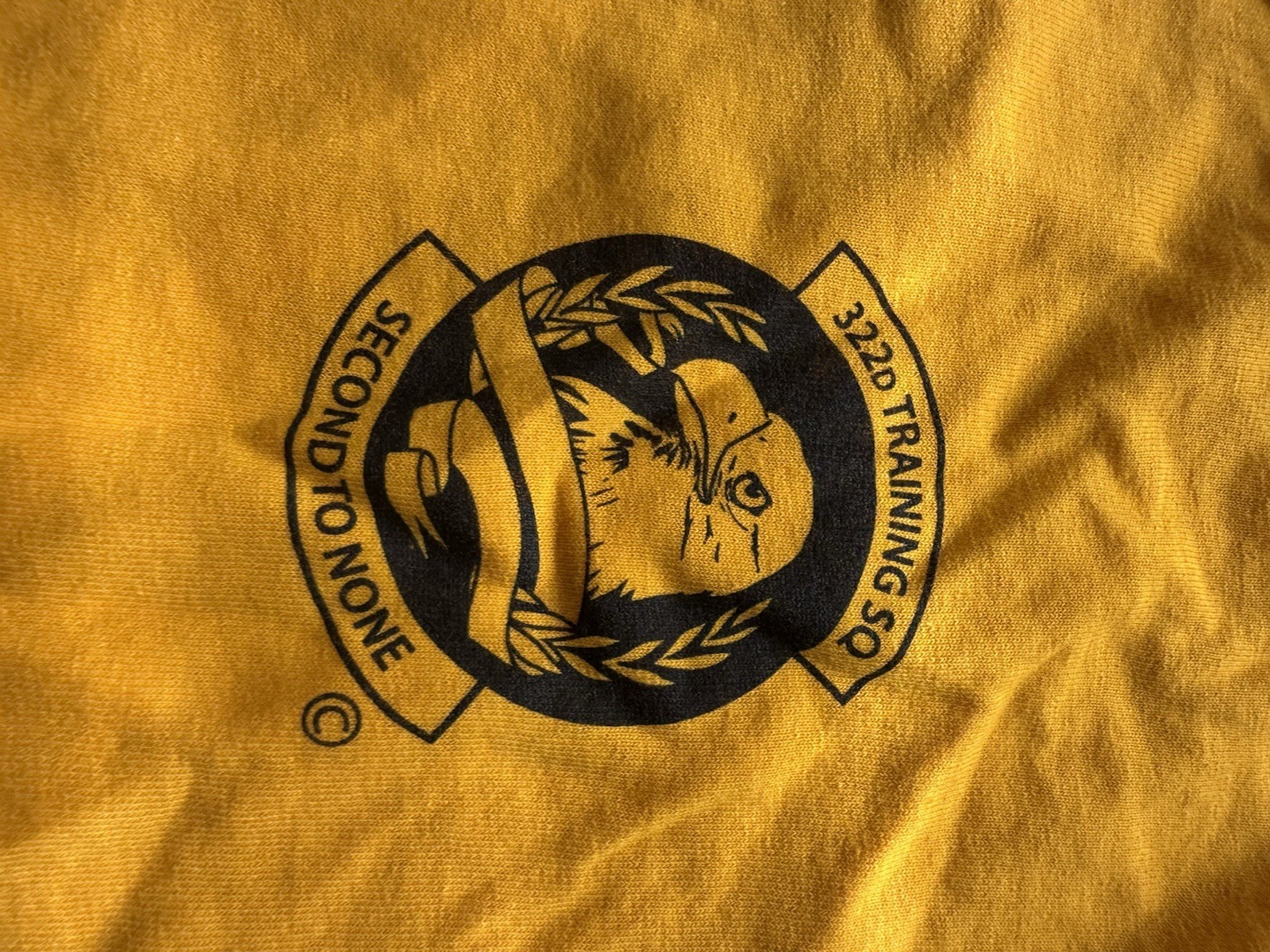 Second To None Graphic T-Shirt, Bold Eagle Design Size Large