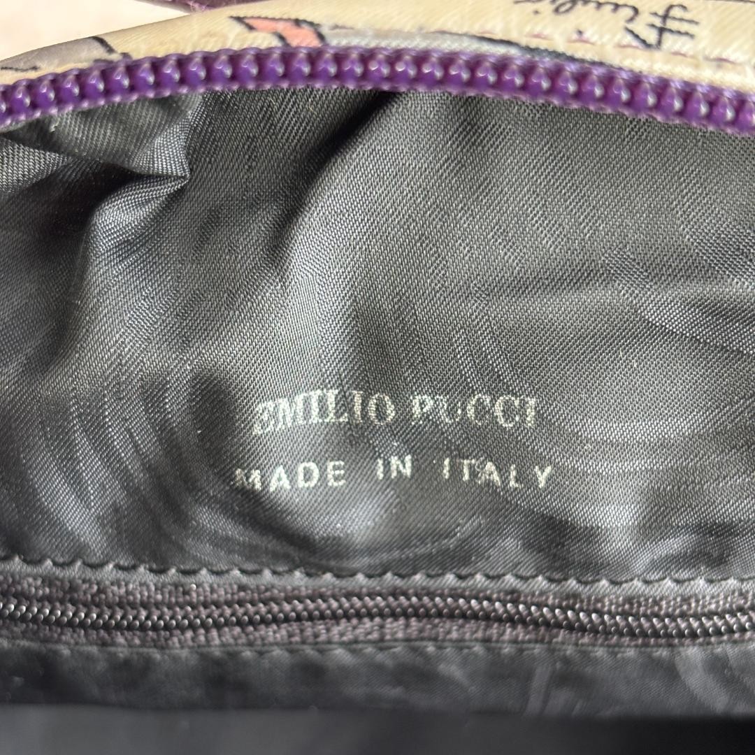Emilio Pucci Vanity Pouch Handbag Multicolor Rare Authenticated