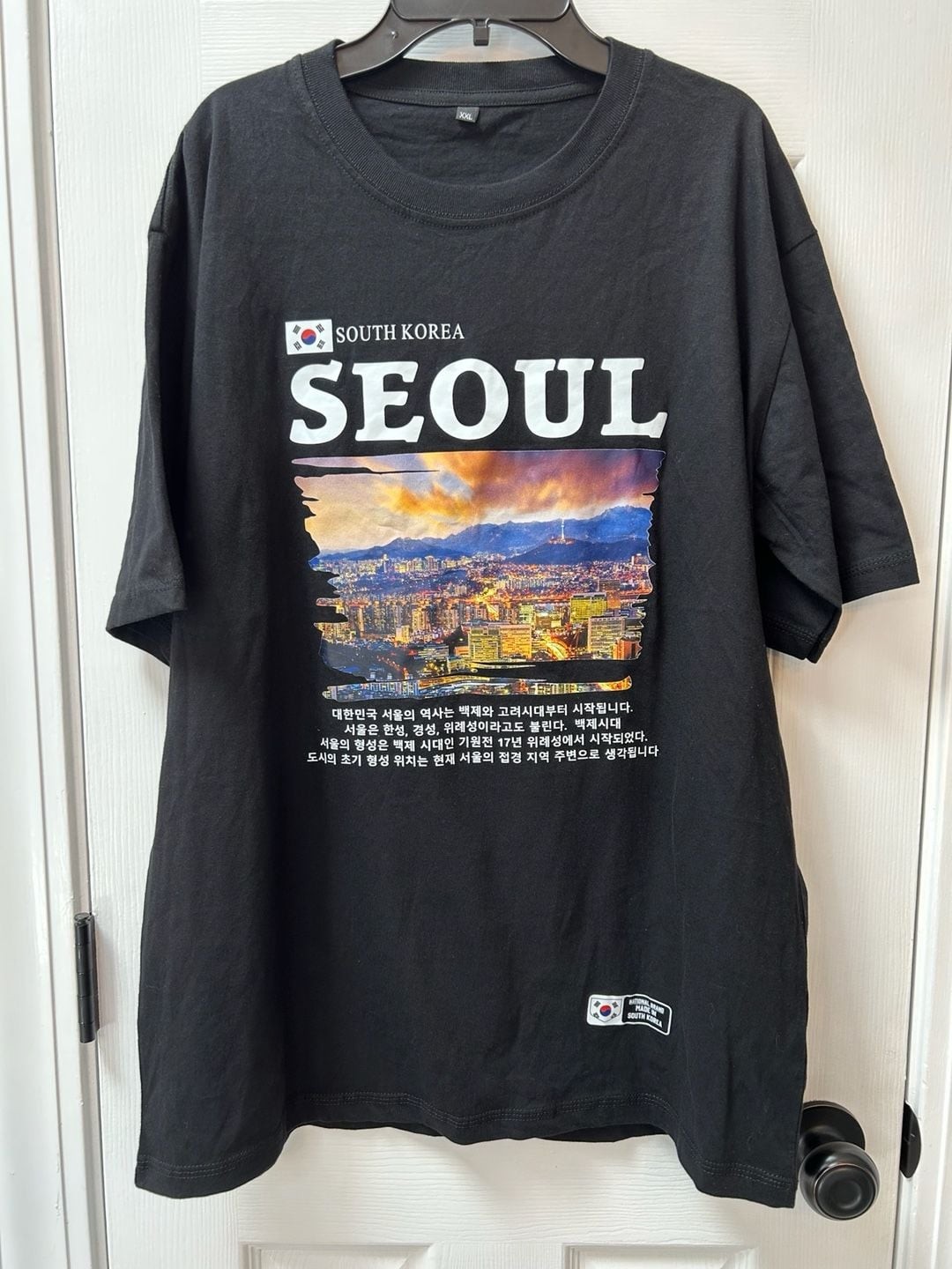 Gorpcore Tourist Travel Streetware Seoul South Korea K-Fashion Graphic T XXL