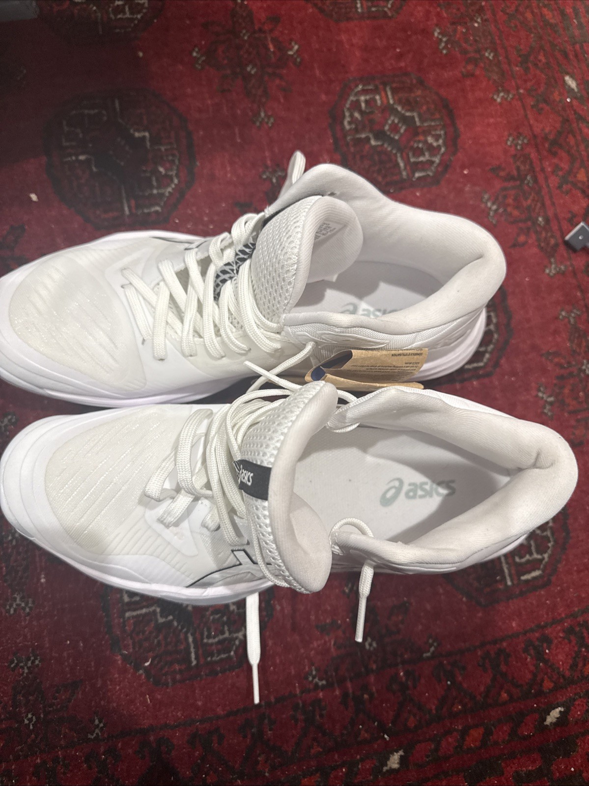 DS ASICS SKY ELITE FF MT 3 White Men Shoes