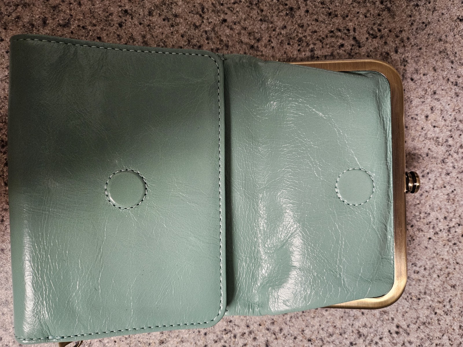 HOBO Mint Green Frame-Top Clutch Wallet with Gold Hardware (HOBO Robin Compact )