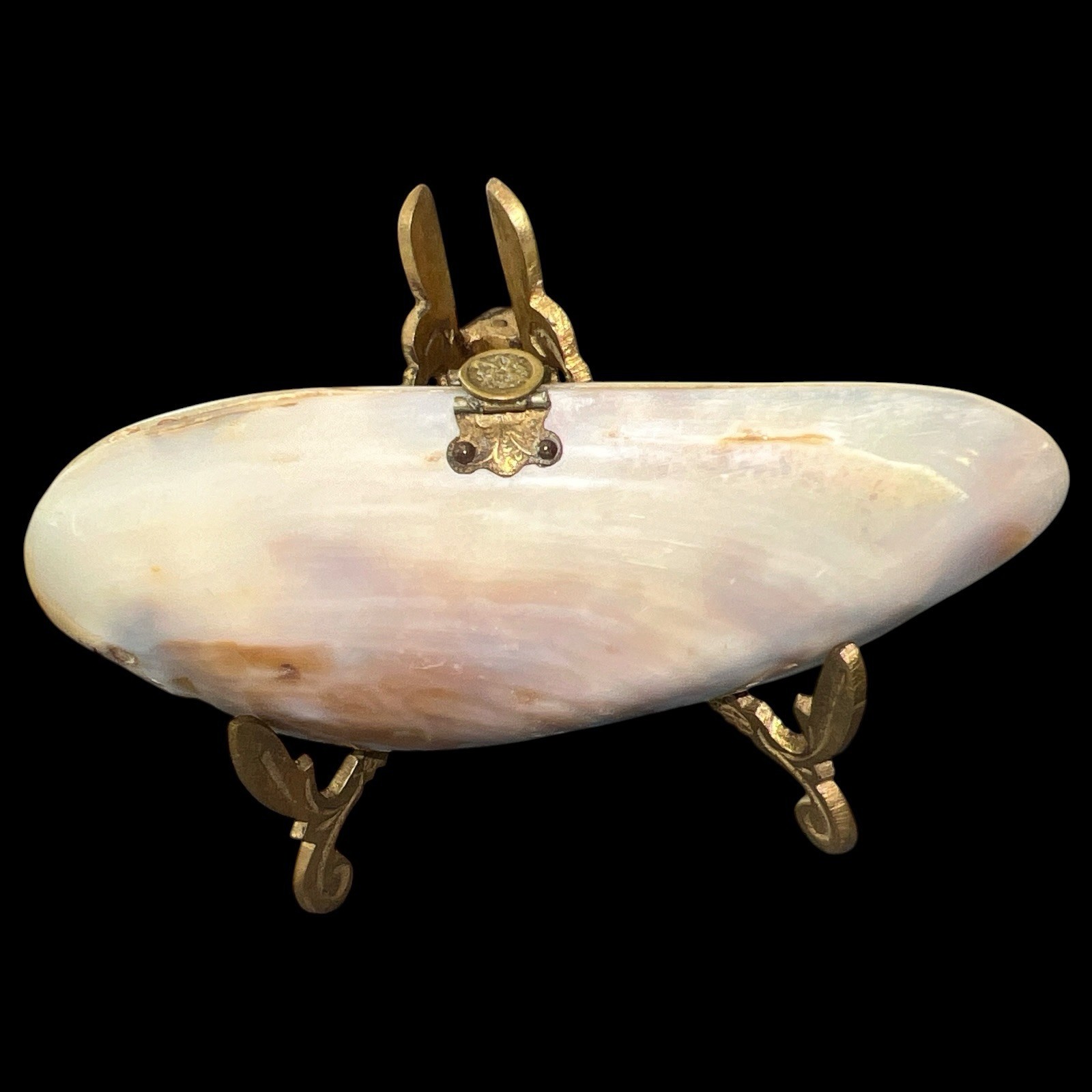 Antique Giant Clam Shell Purse Brass Frame Edwardian Victorian Vanity Handbag